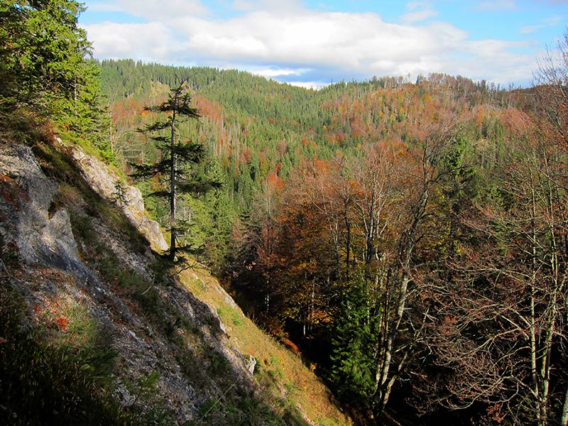 geissangerkogel